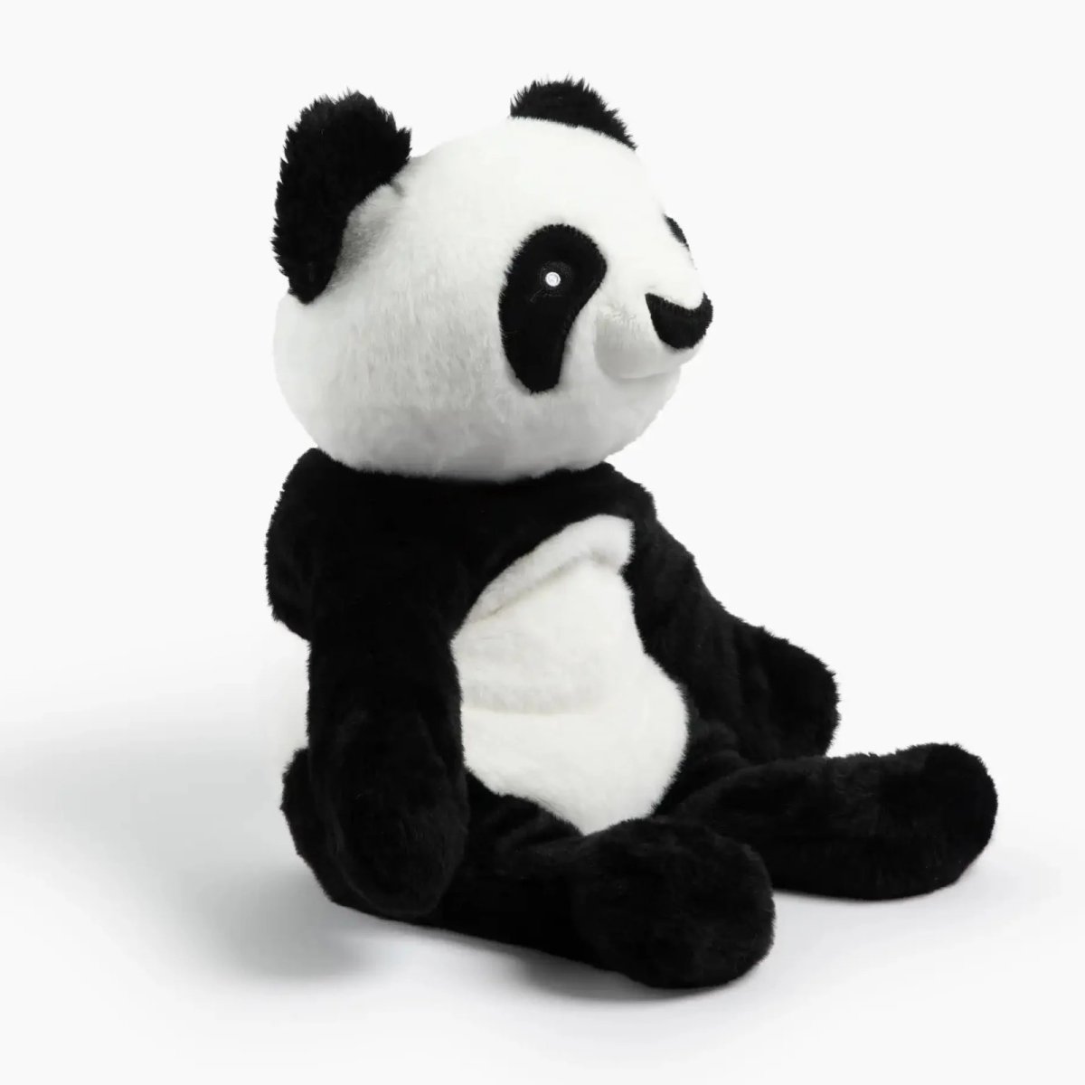 Bowie the Panda