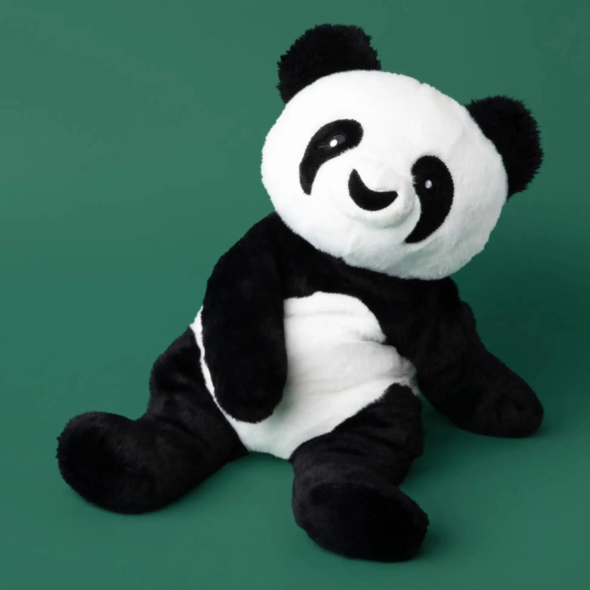Bowie the Panda