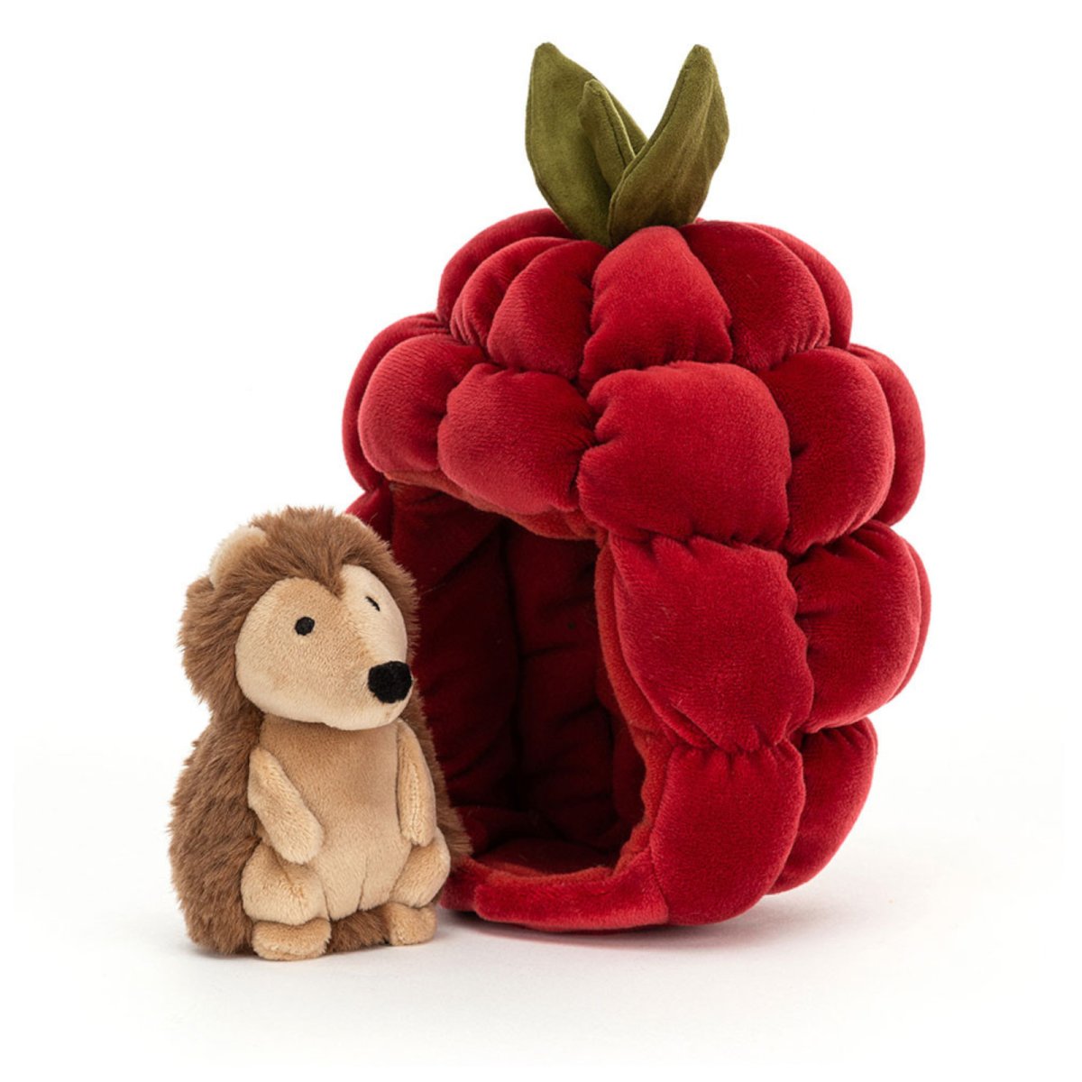 Brambling Hedgehog 8