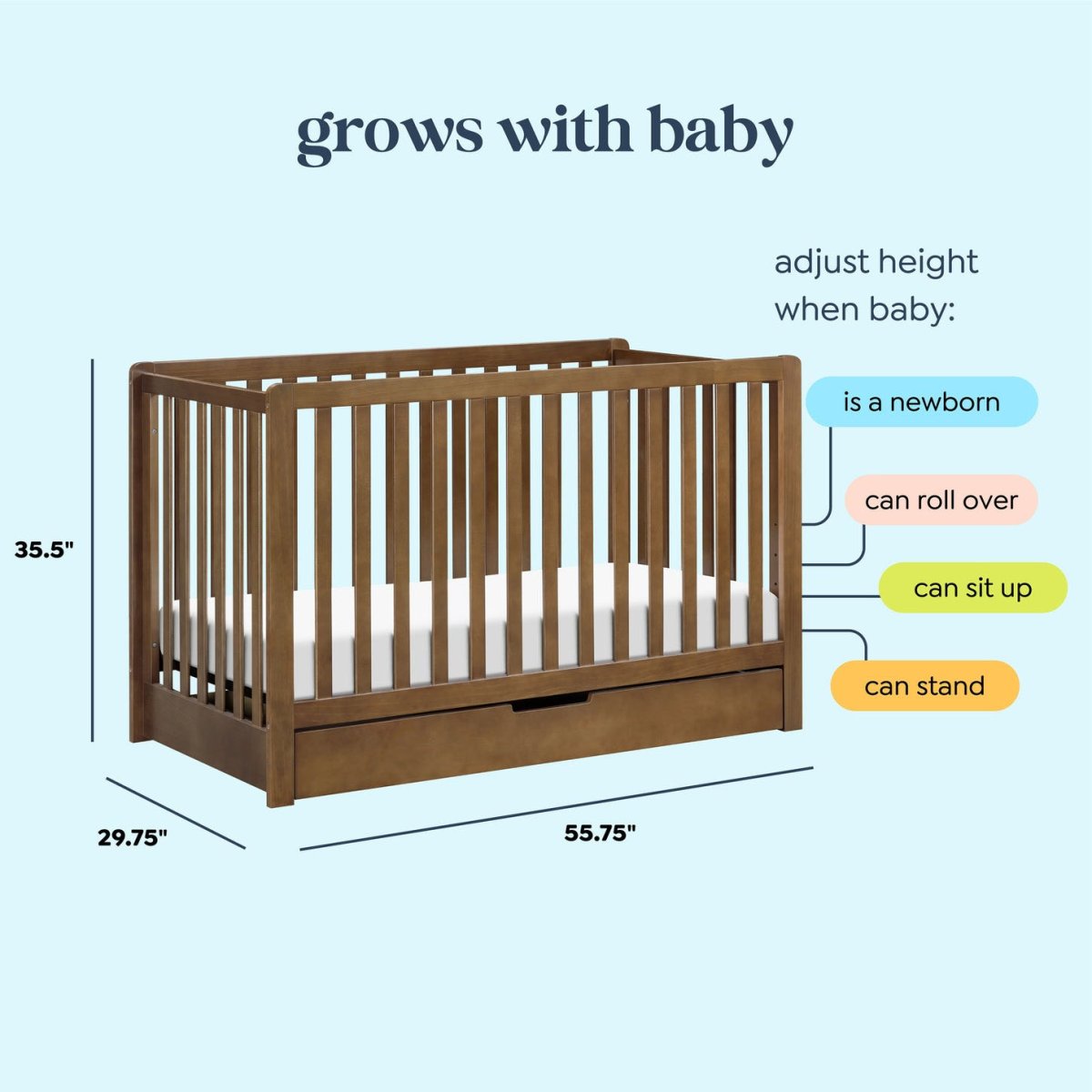 Colby 4 In 1 Convertible Crib with Trundle Drawer - Walnut