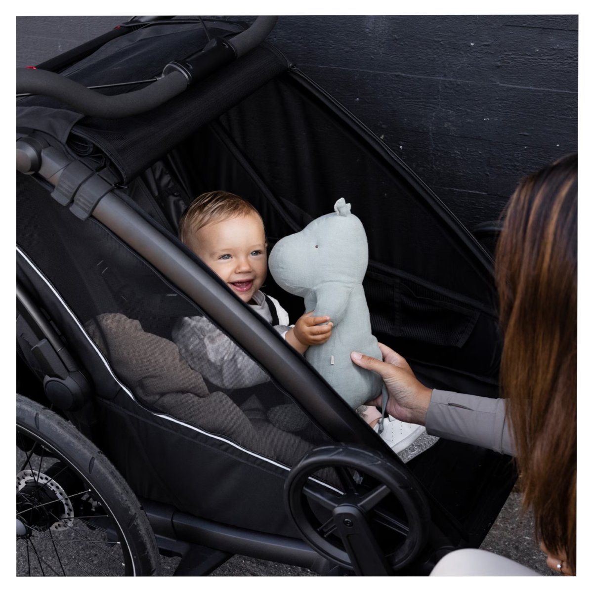 Chariot Sport 2 Double Black