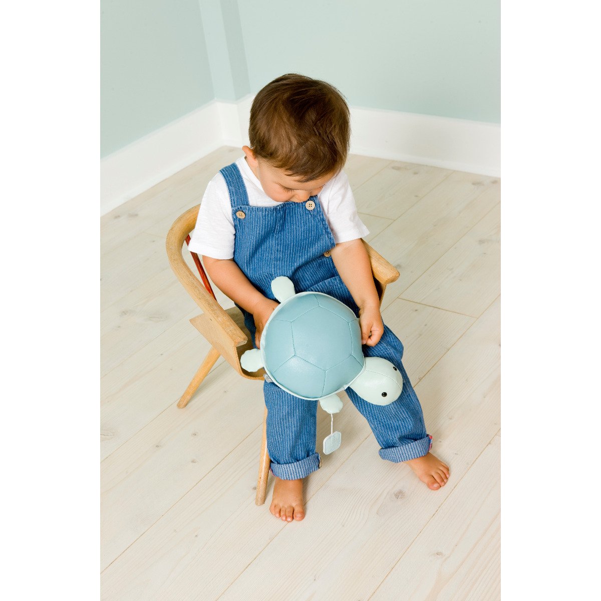 Musical Animals - Emilie the Turtle