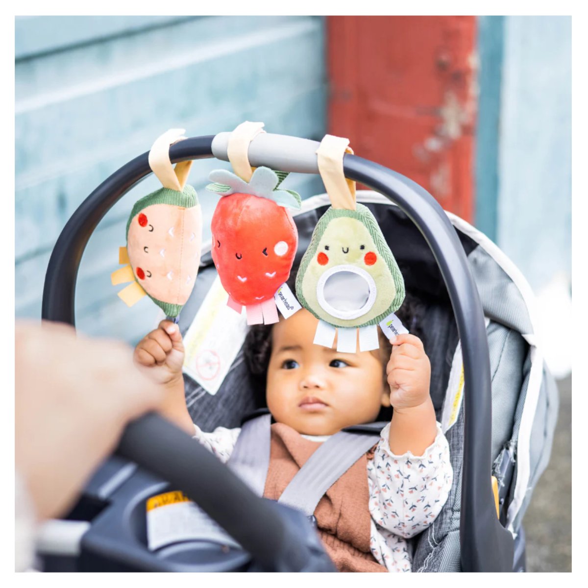 Fruit Stroller Toy Set