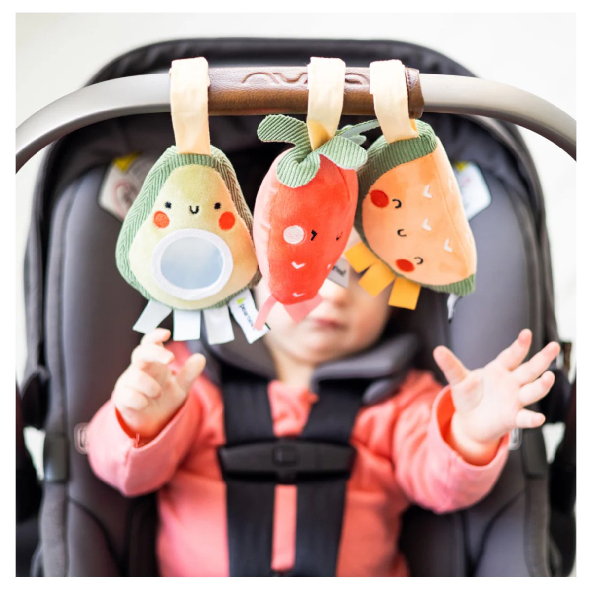 Fruit Stroller Toy Set