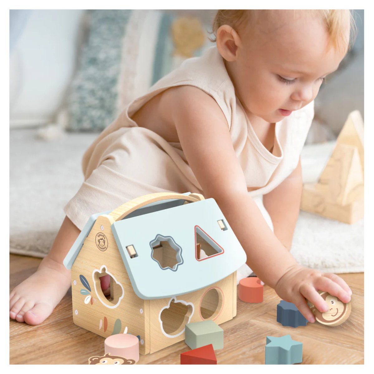 House Shape Sorter