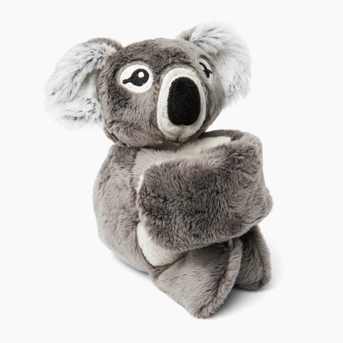 Hug Baby Quinn the Koala