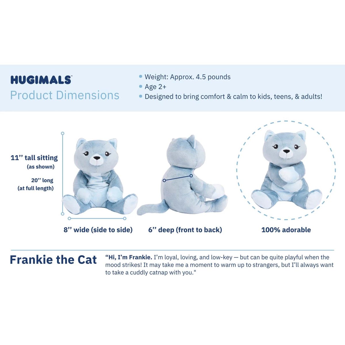 Frankie the Cat