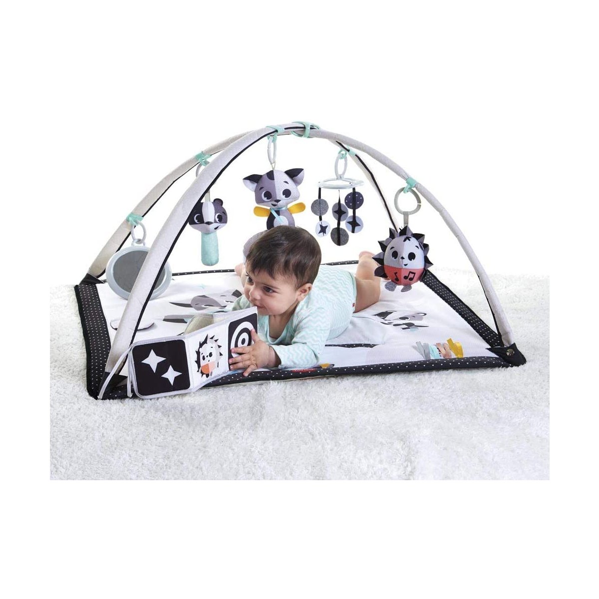 Deluxe Gymini - Magical Tales