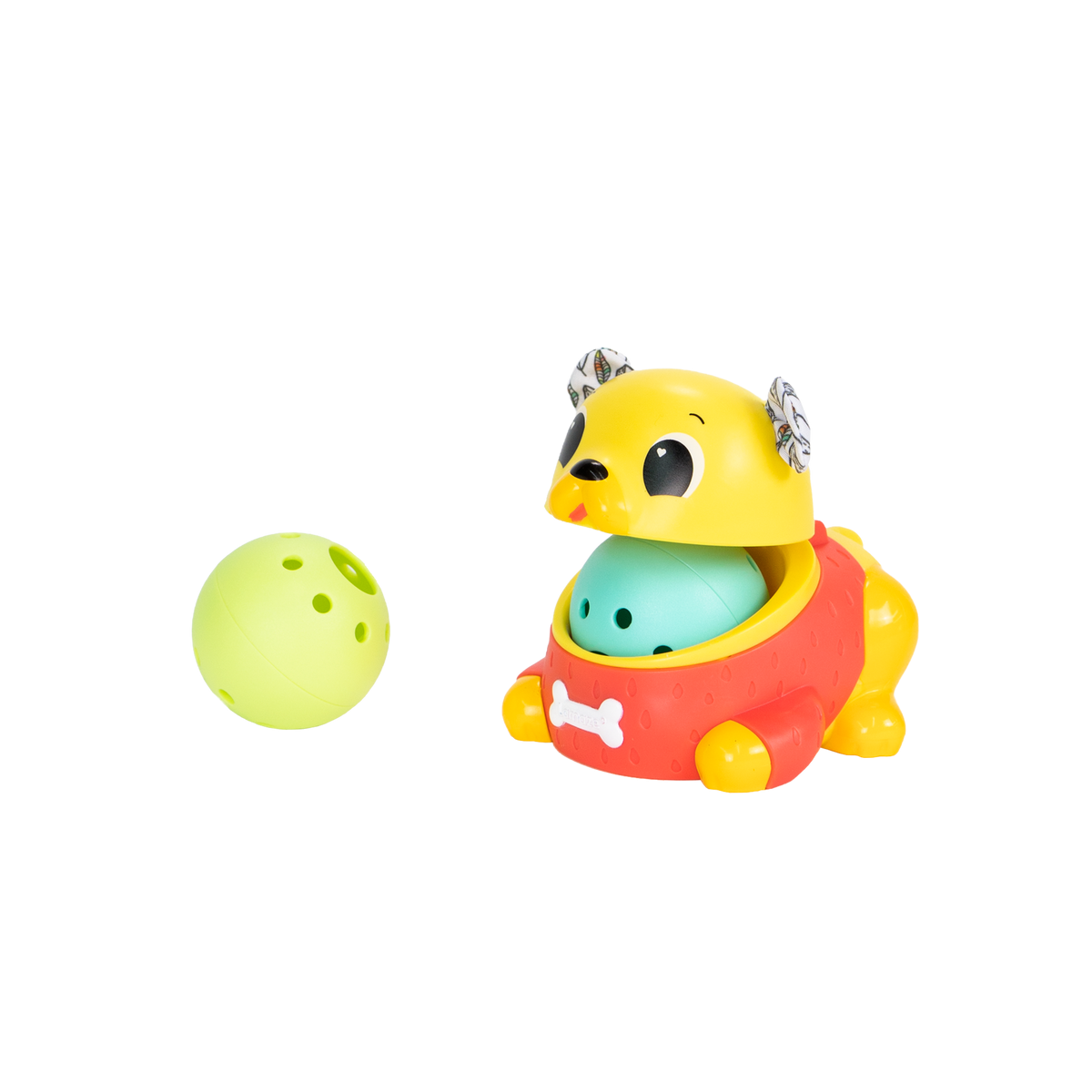 Crawl and Chase Pug Popper