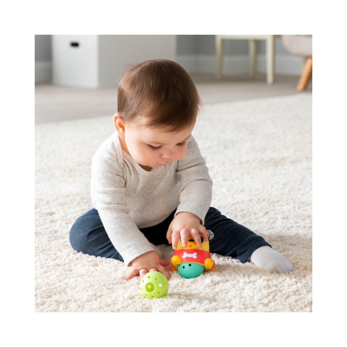 Crawl and Chase Pug Popper