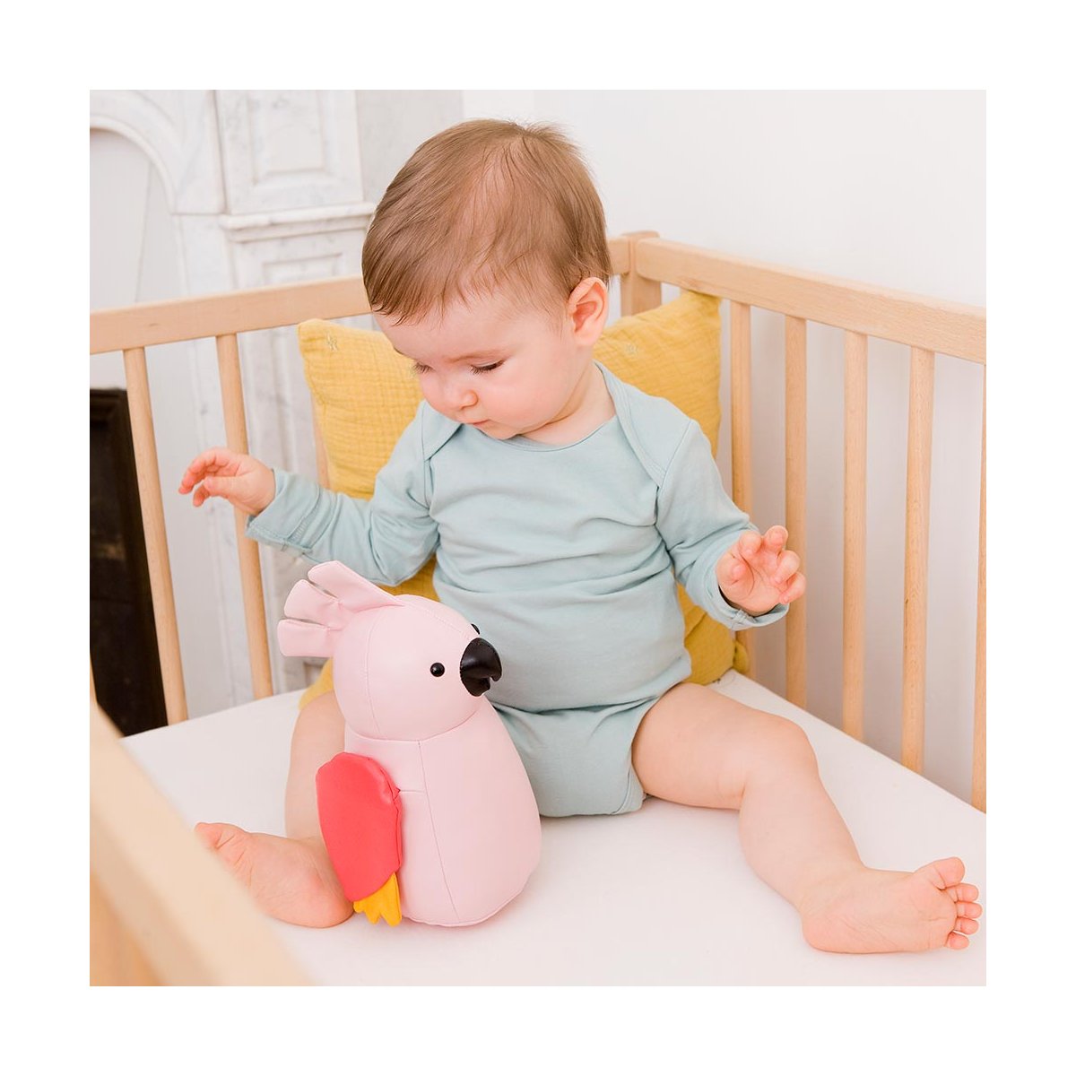 Musical Animal - Paris The Parakeet