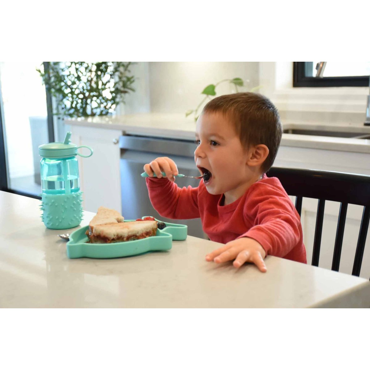 Silicone Divided Plate - Dinosaur