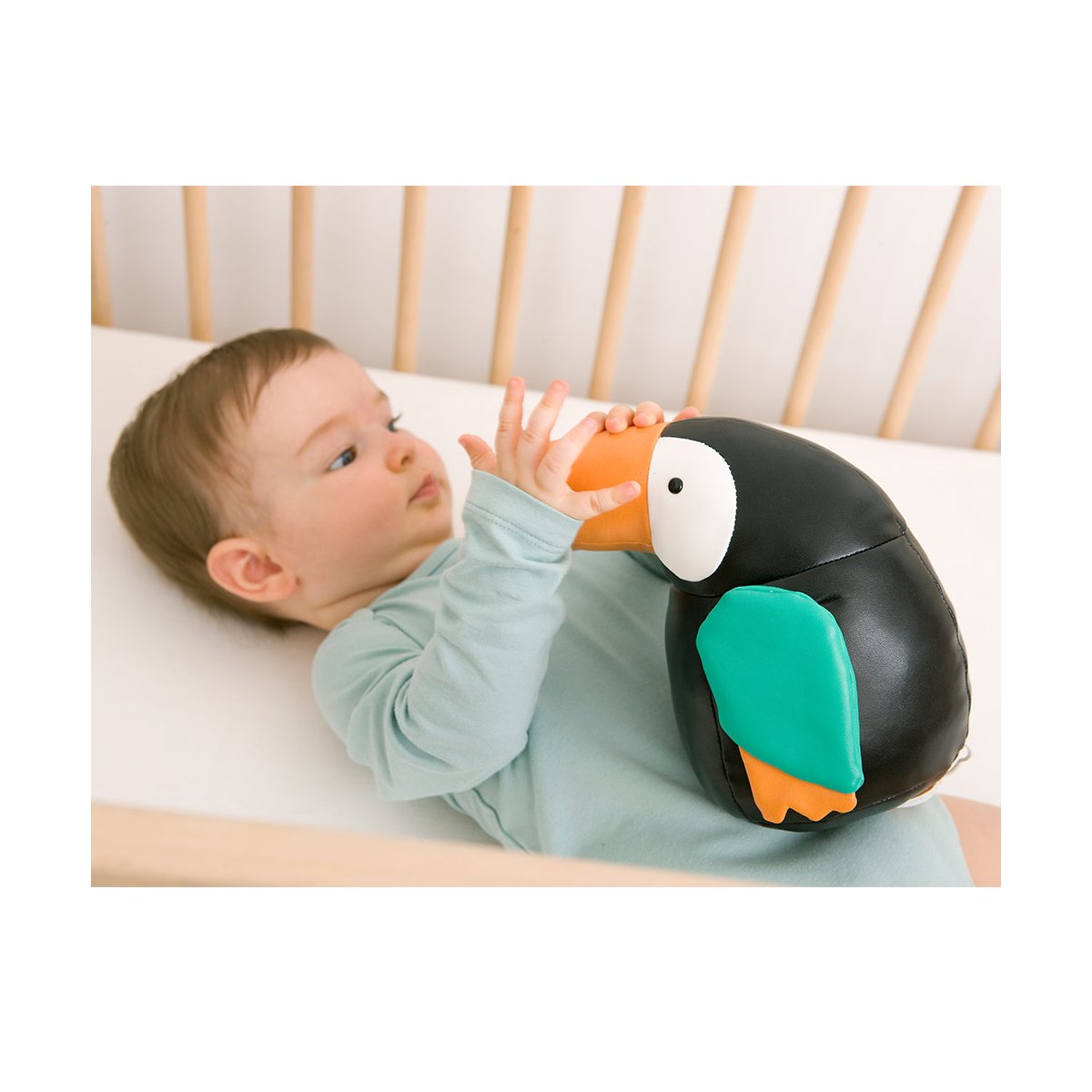 Musical Animal - Jean The Toucan