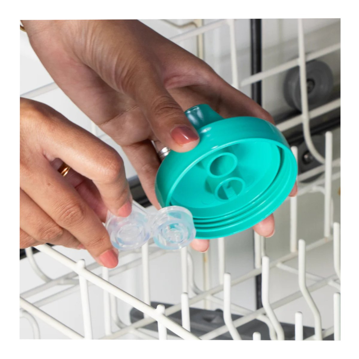 No Spill Lid with Valve - Leaf