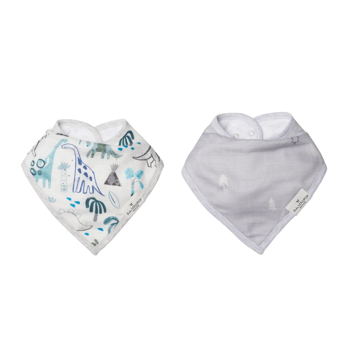 Bandana Bib 2 Pack -  - Dinosaurs