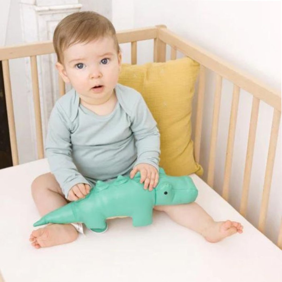 Pull Along Toy - Achille the Crocodile