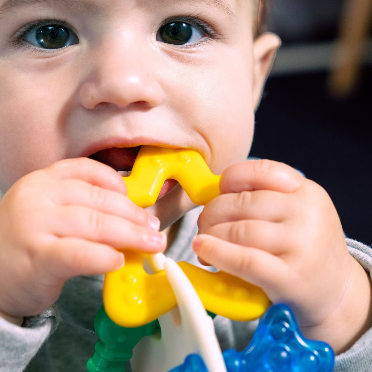 Sea of Sensory Teether Toy