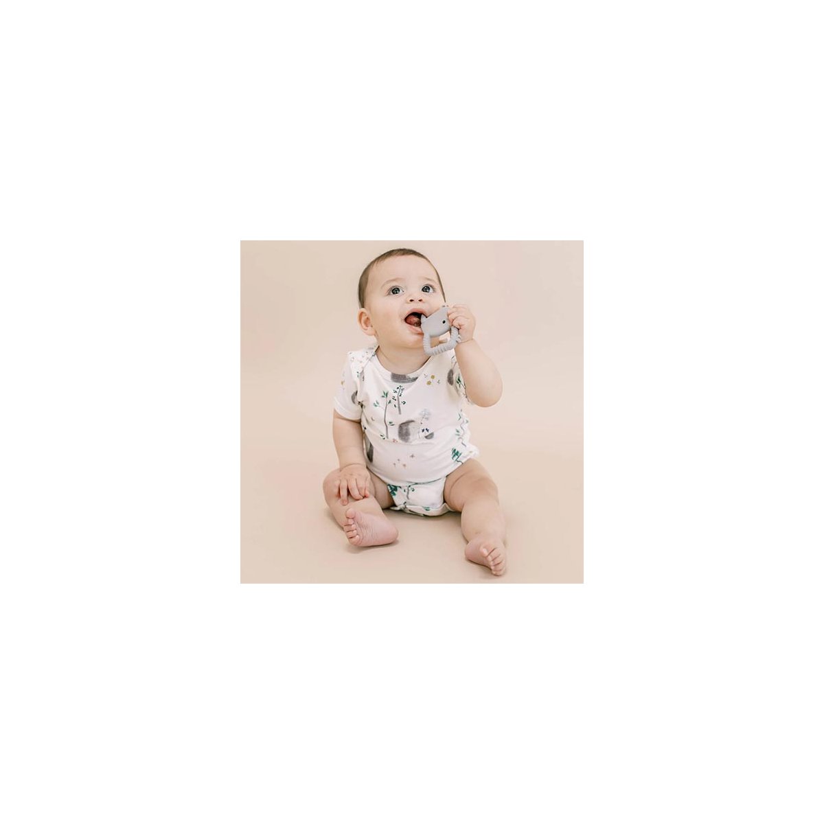 Short Sleeve Bodysuit - Hedgehogs