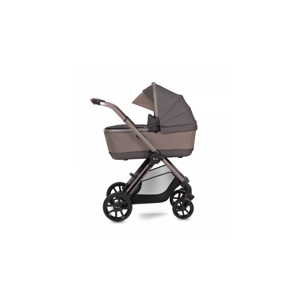 Reef Bassinet - Earth