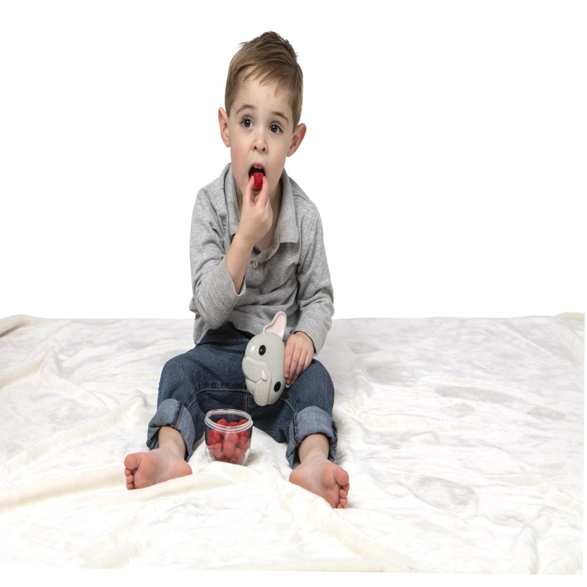 Snack Container - Bulldog