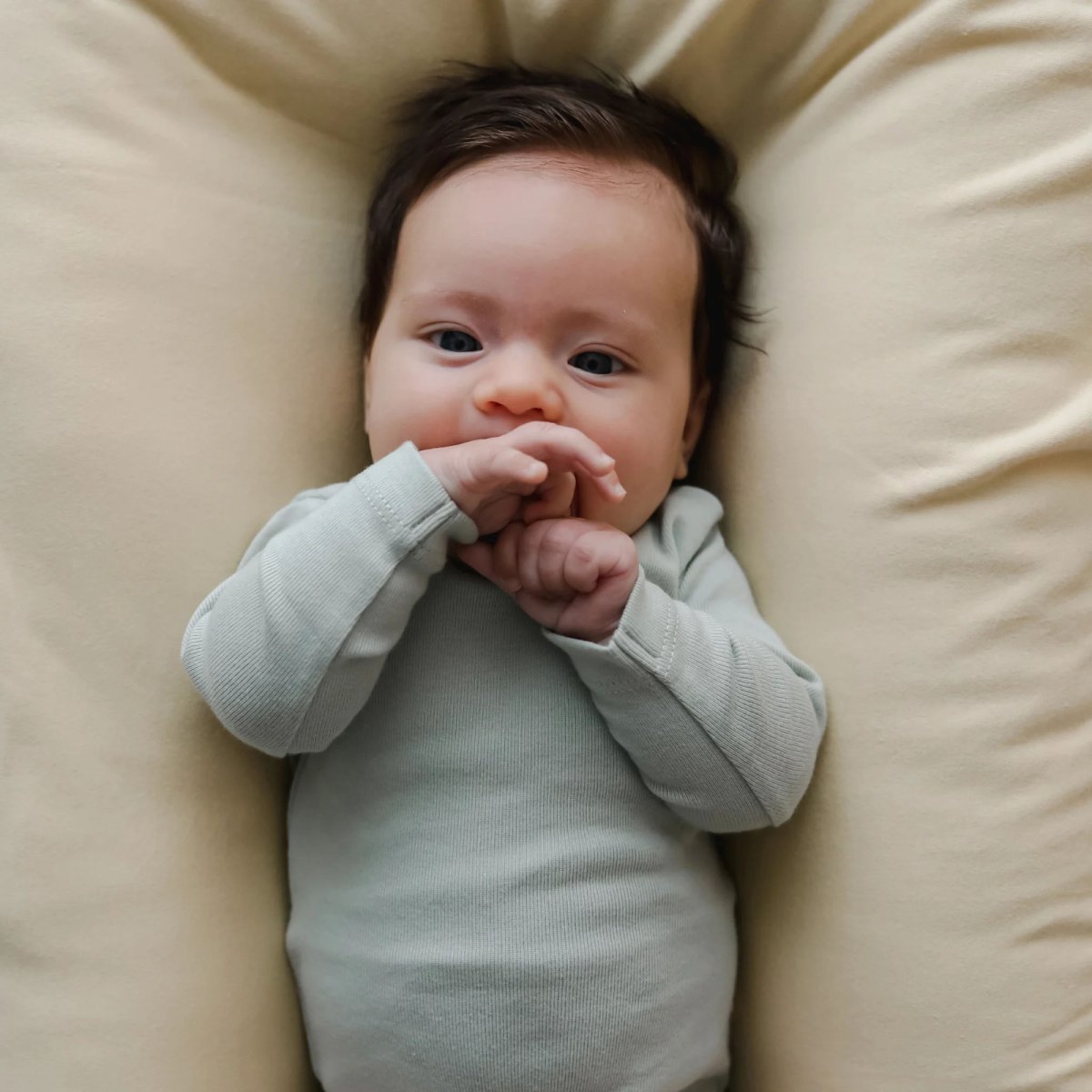 Organic Infant Lounger Cover - Honey