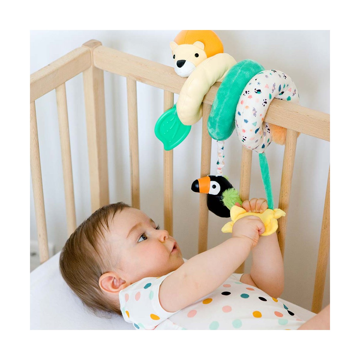 Activity Spiral - Jungle Friends