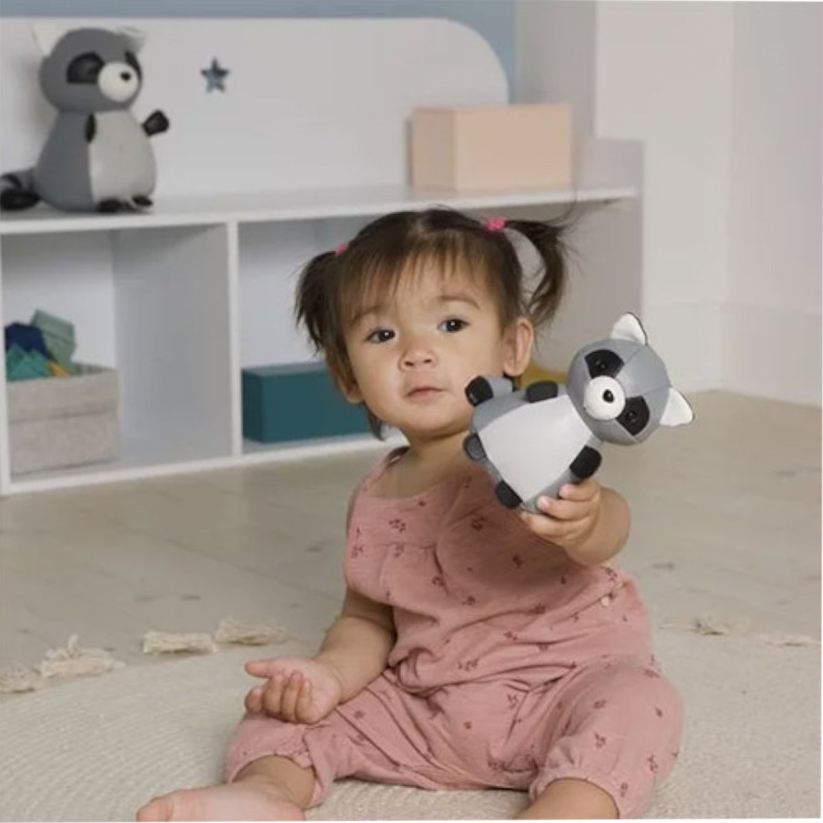 Tiny Friends - Racoon