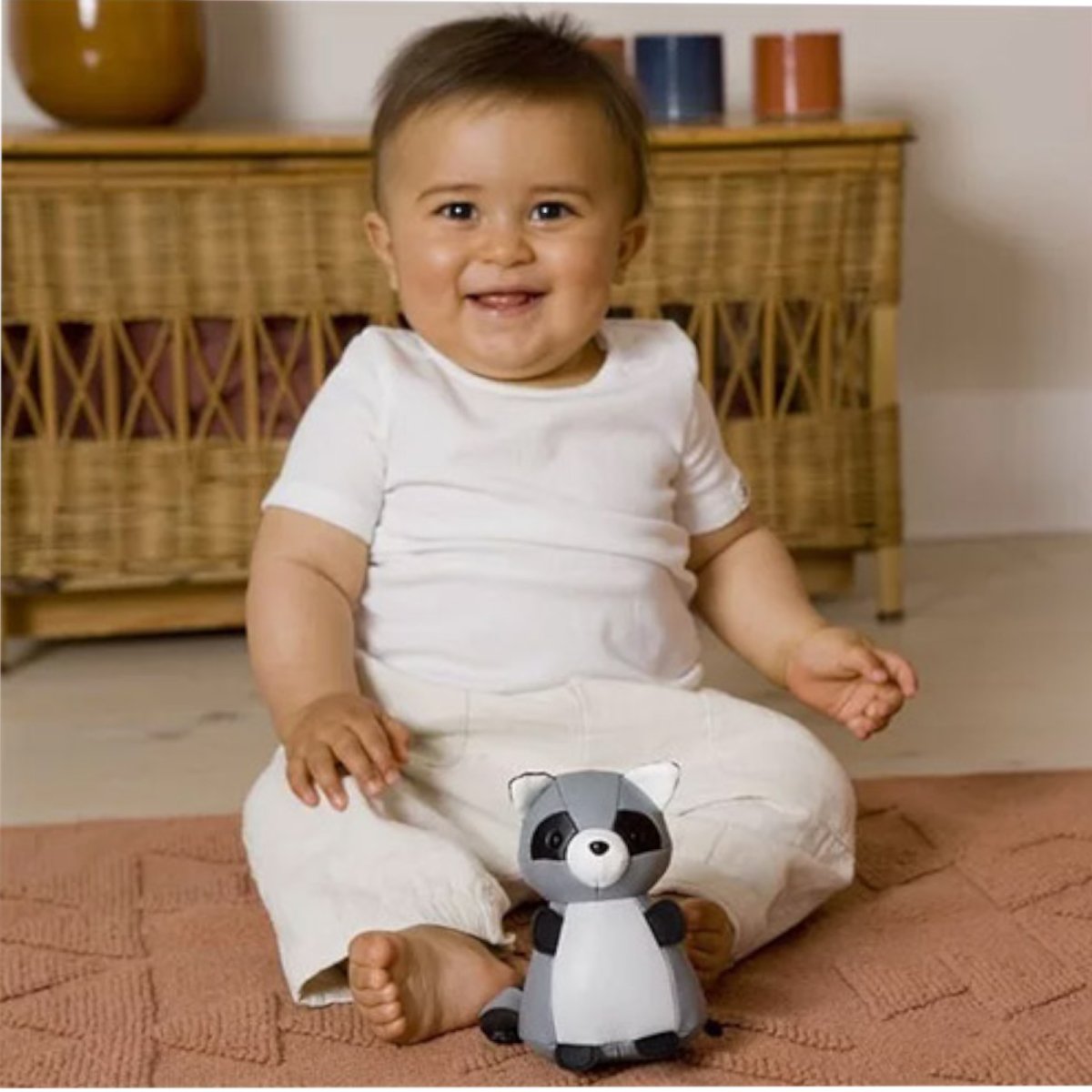 Tiny Friends - Racoon