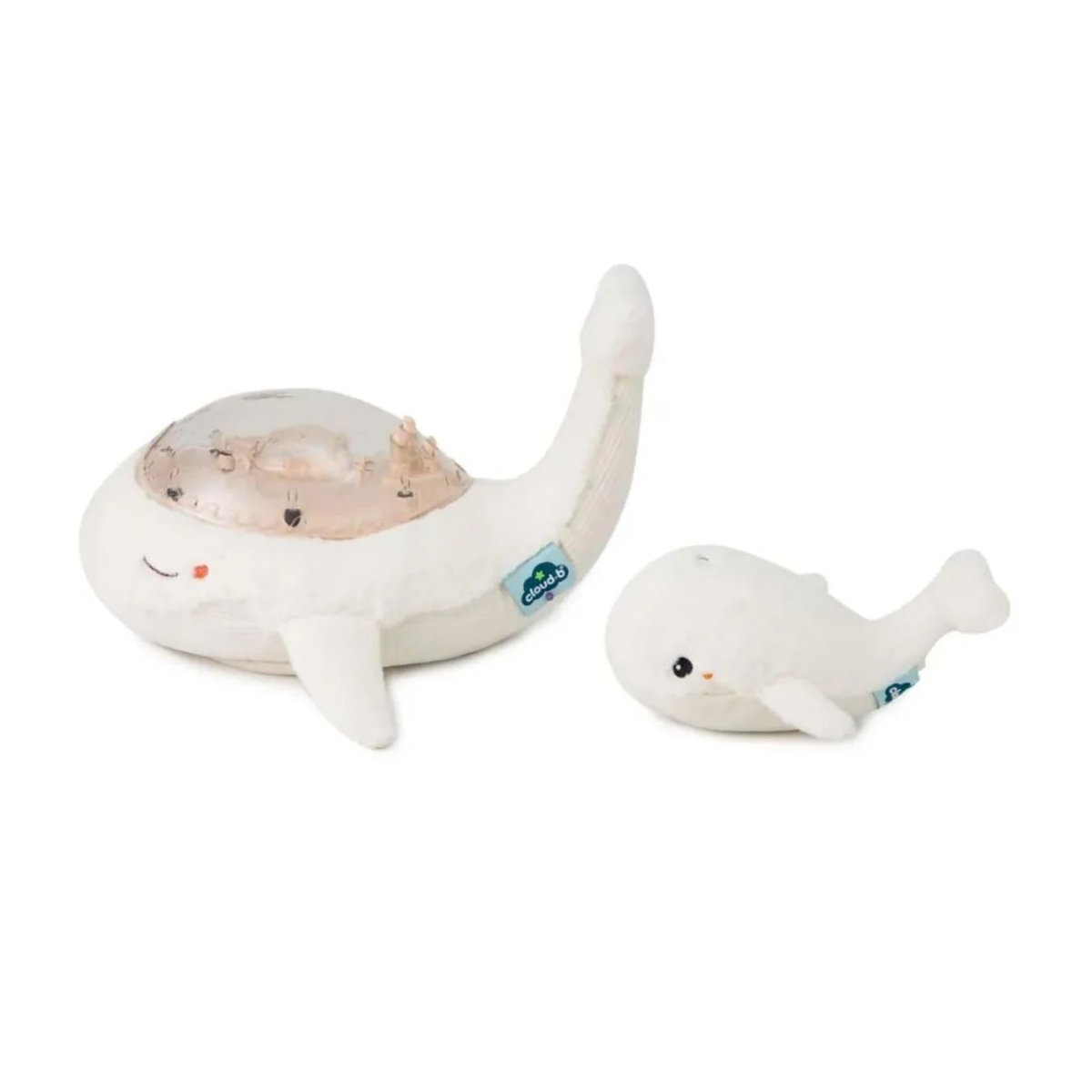 Tranquil Whale - White