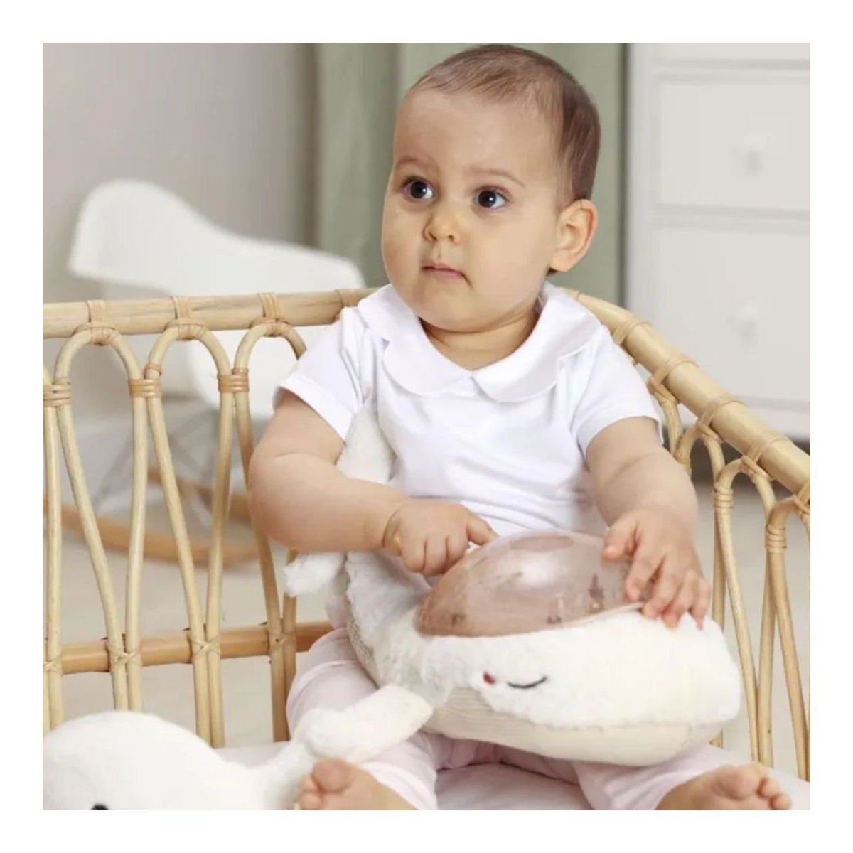 Tranquil Whale - White