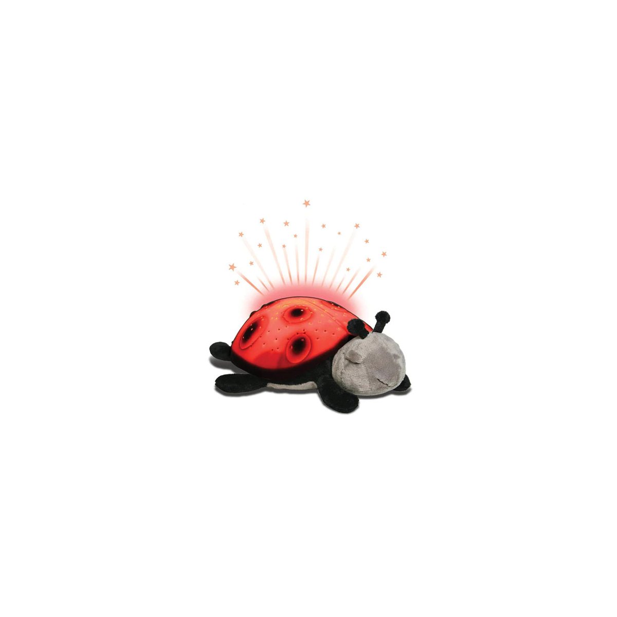 Twilight Ladybug
