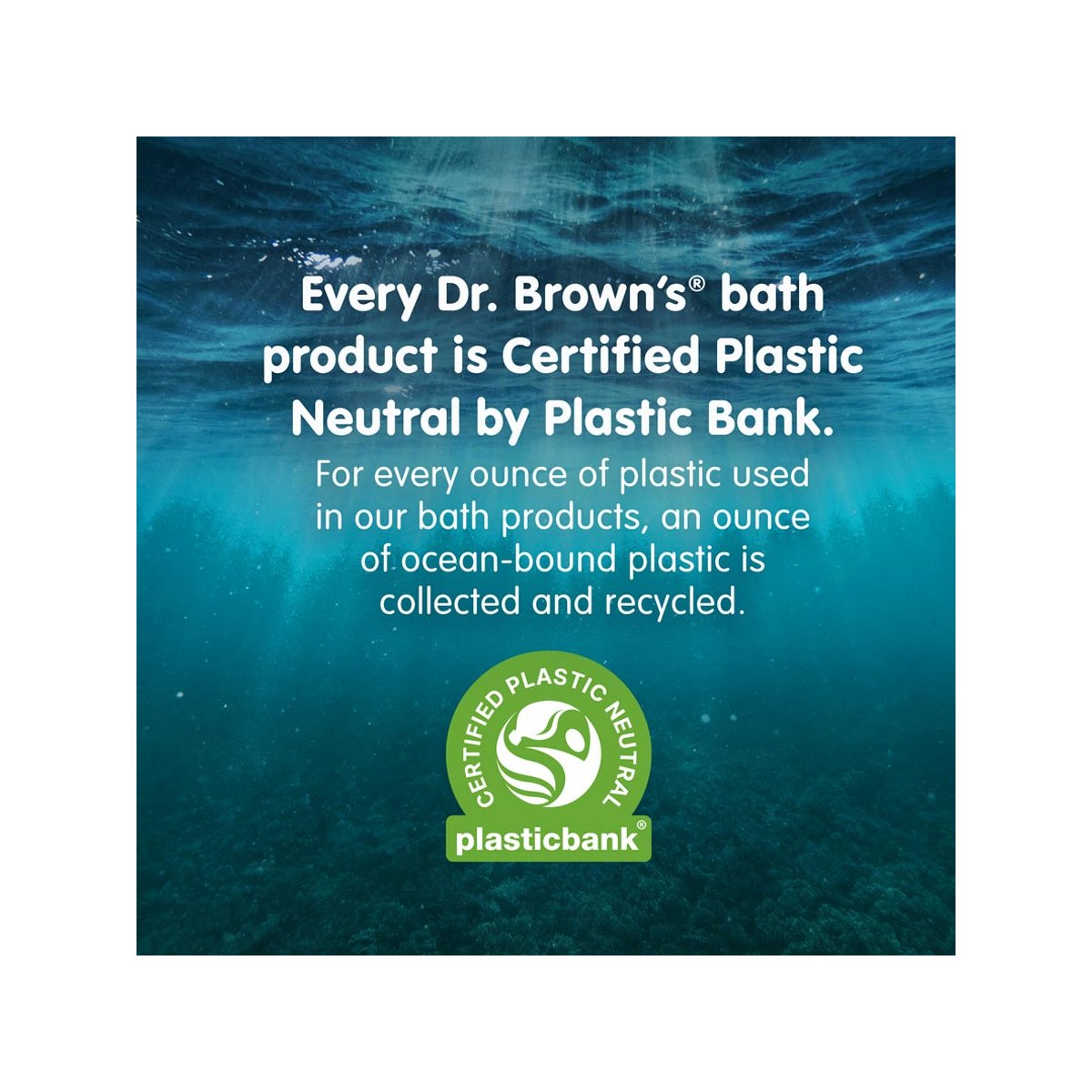 Float and Hatch Dino Eggs