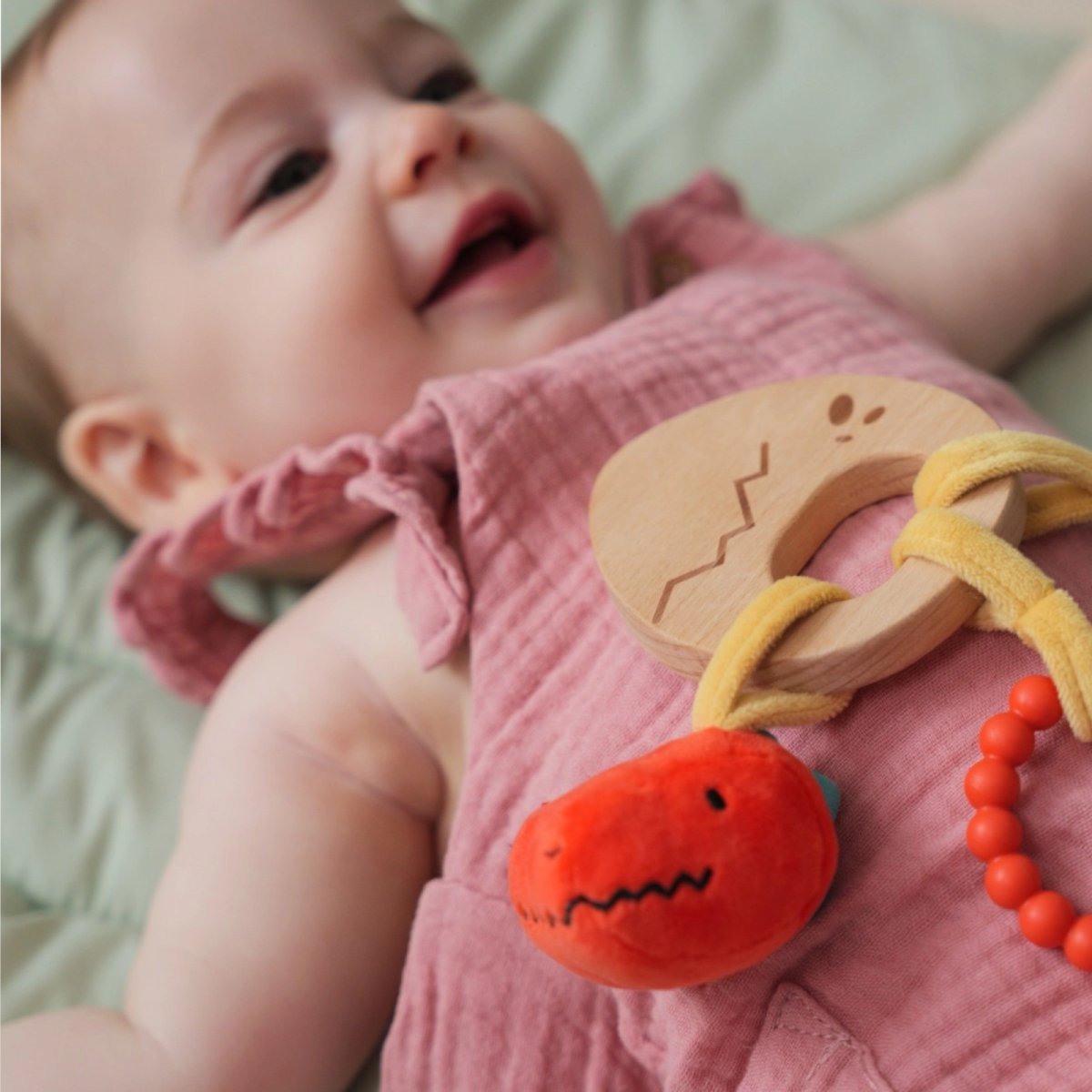 Wooden Rattle - Dino