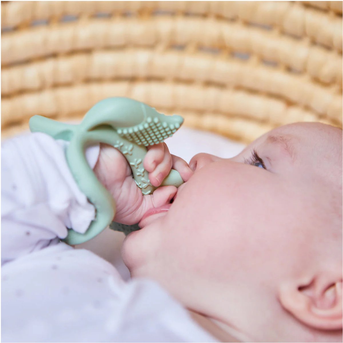 Wrist Teether - Sage