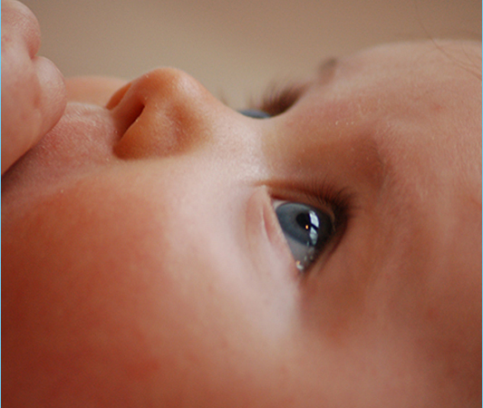 develops visual and sensory skills